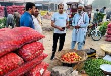 ڈپٹی کمشنرعبداللہ خرم نیازی کی ہدایت پر ضلع بھر کی سبزی و پھل منڈیوں میں بولی سے لیکر ترسیل کے عمل تک موثر نگرانی کی جارہی ہے