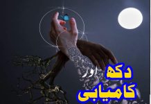 دکھ اور کامیابی! تحریر مبشر نور کمیانہ