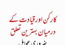 کارکن اور قیادت تحریر / مدثر عارف جٹ، جھنگ