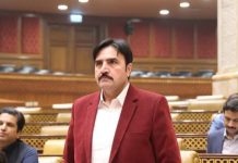 گمنامی سے شہرت کی بلندیوں تک کا سفر۔۔۔ تحریر مصطفیٰ علی قریشی