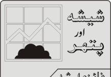 پاکستان انٹرنیشنل میڈیا کونسل” ایک منفرد تنظیم! تحریر۔ فائزہ ارشد