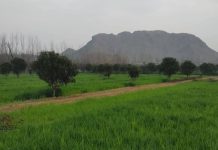 تحصیل عیسی خیل میں کافی عرصہ بعدہونے والی بارشوں سےاہل علاقہ اور کسان خوشی سے کھل اٹھے۔خٹک بیلٹ کے کافی علاقوں پانی کی عدم دستیابی کی وجہ سےپینے اور دیگر ضروریات کے لیےپانی کو تالابوں اور جوہڑوں کے ذریعے سٹور بھی کر لیا گیا