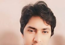 اگست-وطن سے محبت اور عہد وفا کا دن ہے۔   تحریر۔۔۔ایم دانش