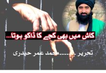 کاش میں بھی کچے کا ڈاکو ہوتا…! تحریر ۔۔۔۔۔۔۔محمد عمر حیدری