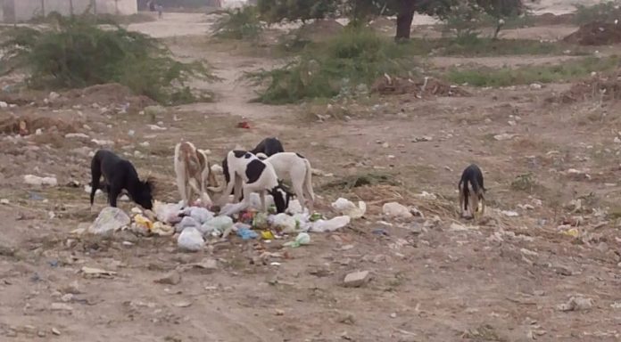 FB_IMG_1763483777001