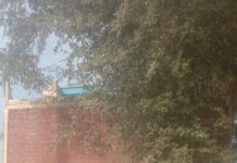 تحصیل عیسی خیل کے نواحی علاقہ ونجاری میں ہزاروں افراد کو پانی مہیا کرنے والی واحد واٹر سپلائی سکیم کےبجلی کنکشن،بلوں کی عدم ادائیگی کی وجہ سے منقطع۔پانی کےلیے ترستی عوام کی وزیراعلی پنجاب مریم نواز صاحبہ سے کنکشن بحال کرنے کی اپیل۔