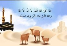 قربانی کا حقیقی مقصد تحریر: اللہ نواز خان