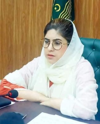 دخترِ ہزارہ ماہم آصف ملک دیانت، قابلیت اور عوامی خدمت کی نئی مثال،ہزارہ وال قوم کے لیے باعثِ فخر تحریر : محمد زاہد مجید انور